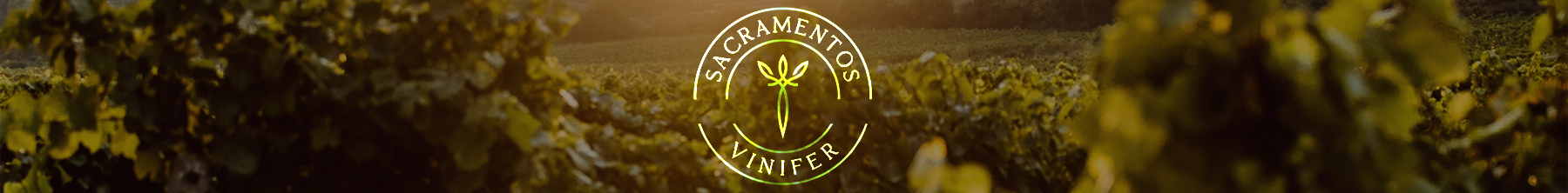 Sacramentos Vinifer